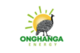 Onghanga Investment